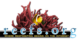 Reefs.org Forums Forum Index