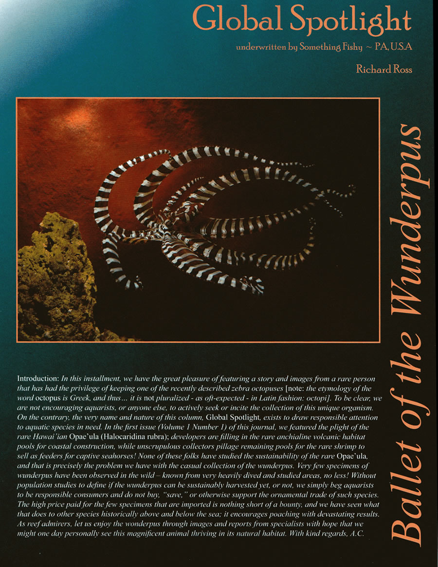 cjournal_wunderpus01