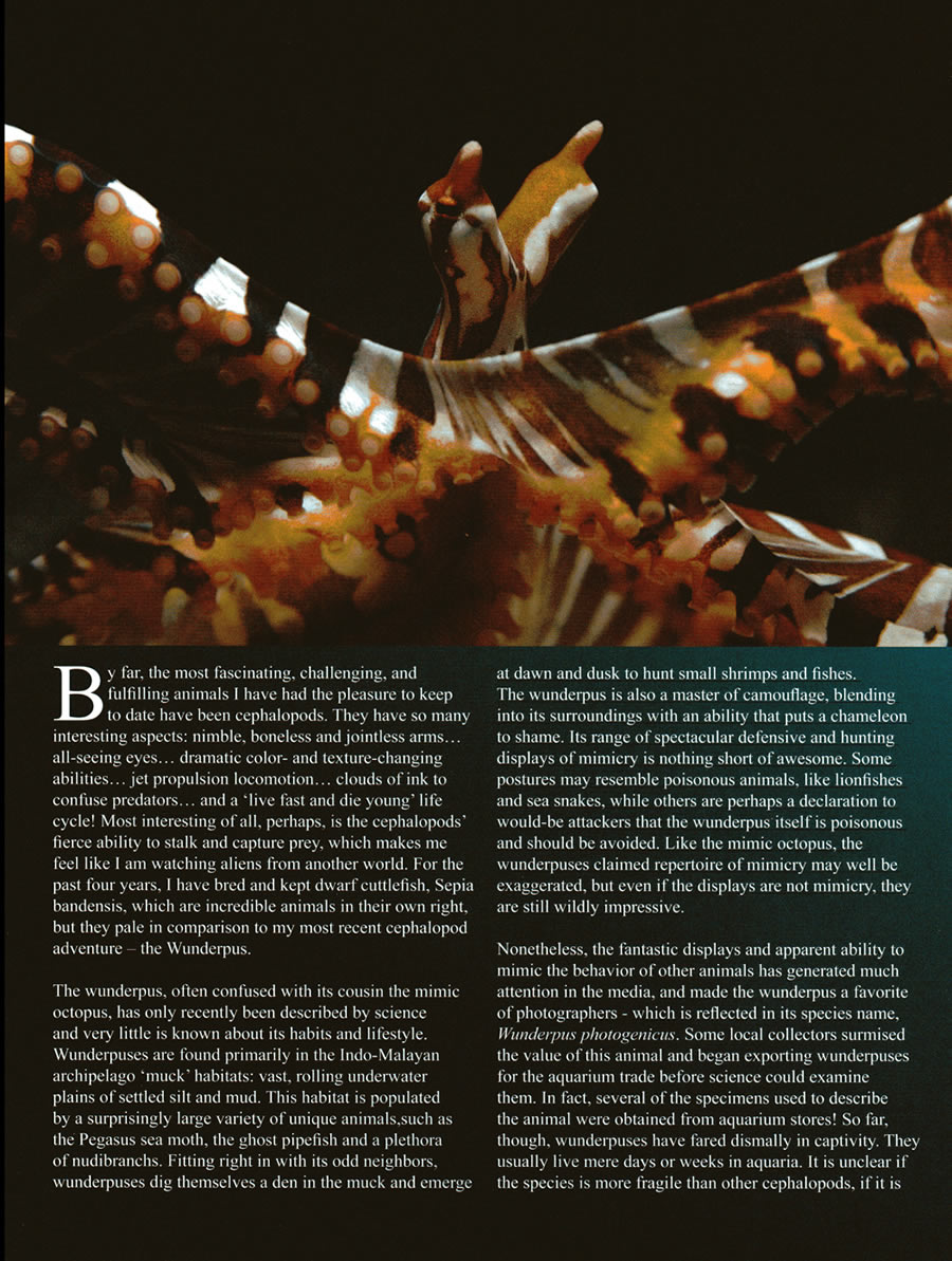 cjournal_wunderpus02