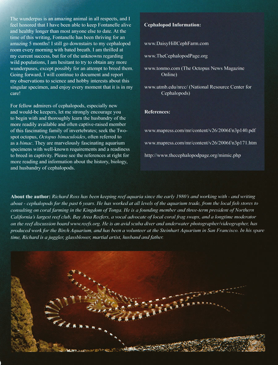 cjournal_wunderpus05